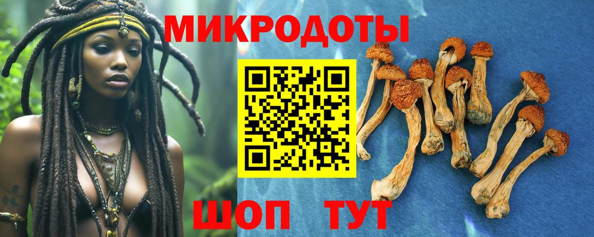 Псилоцибиновые грибы ЛСД  Вход с VPN  Белорецк 